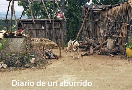 Recuerdos de Oaxaca Recuerdos de Oaxaca