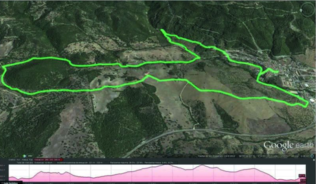 Trail Running El Bosque | rendimientofisico10.com