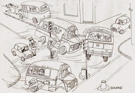 El criterio del zorro gris El criterio del zorro gris