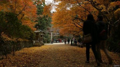 Los parques urbanos más bellos del mundo Parque Yoyogi, en Tokio