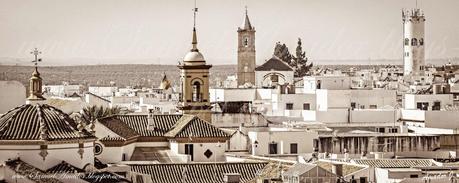 CUBIERTAS de la PARROQUÍA SANTA MARÍA MAGDALENA de ARAHAL