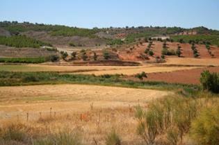AGROSOSTENIBLE: Proyecto de Conservación en Cooperación con Gestores Agrícolas. AGROSOSTENIBLE: Proyecto de Conservación en Cooperación con Gestores Agrícolas.