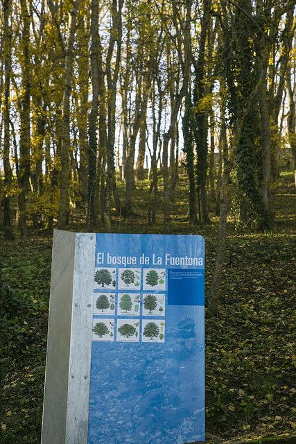 Nacimiento del Ebro, Fontibre