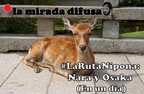 LA RUTA NIPONA: NARA Y OSAKA EN UN DÍA