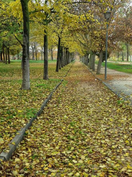 COZY SUNDAY.- COZY SUNDAY.-