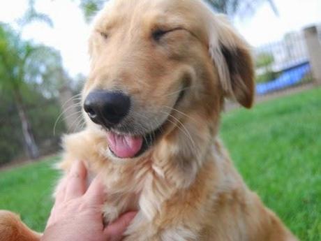 Puntos cardinales de Jatte:2-Risas y sonrisas Puntos cardinales de Jatte:2-Risas y sonrisas