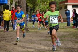 CROSS RINCONADA (980)