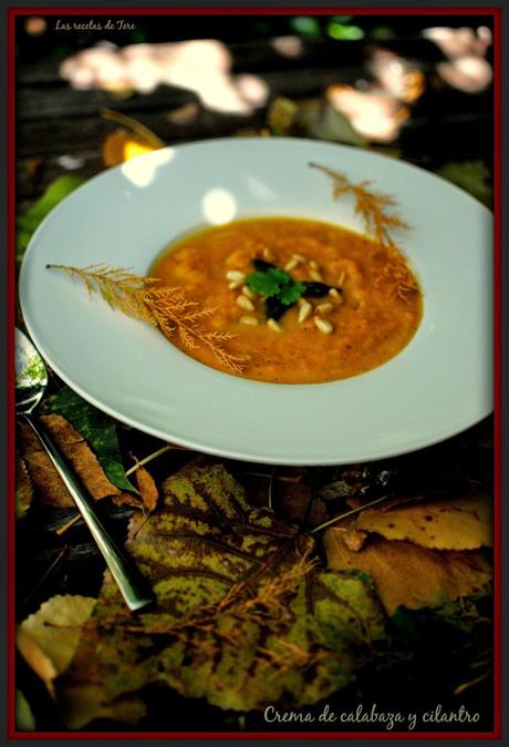 crema de calabaza y cilantro las recetas de tere tererecetas 03 crema de calabaza y cilantro las recetas de tere 03