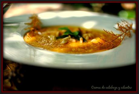 crema de calabaza y cilantro las recetas de tere tererecetas 01 crema de calabaza y cilantro las recetas de tere 01