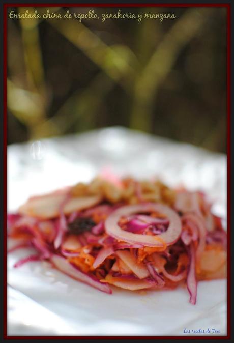 ensalada china de repollo zanahoria y manzana tererecetas 02 ensalada china de repollo zanahoria y manzana 02