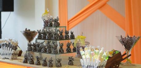 #MamiEnAccion Cumpleaños a la vista?? Que planes tienes para su primera fiesta?