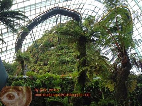 Botánico de Singapur o Gardens by the Bay. Parte 1.