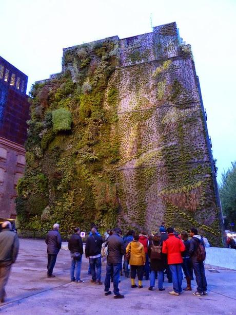 Curso de jardines verticales. Visita al Caixaforum