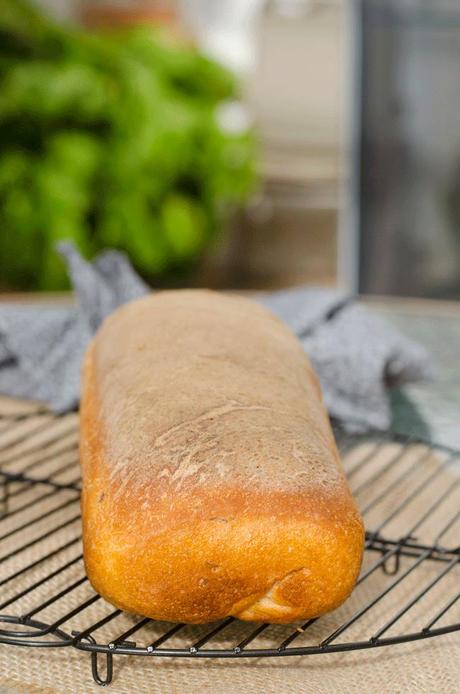 Pan de centeno Neoyorkino o New York deli rye bread #baketheworld pan-deli