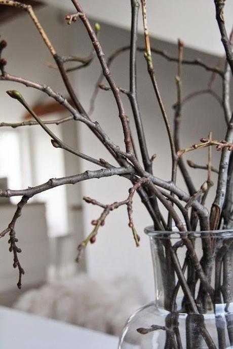 NAVIDAD al Natural NAVIDAD al Natural