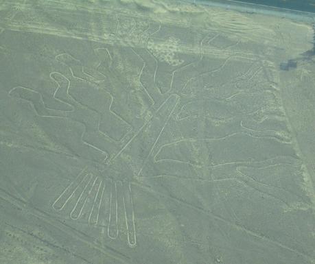 El árbol en las líneas de Nazca