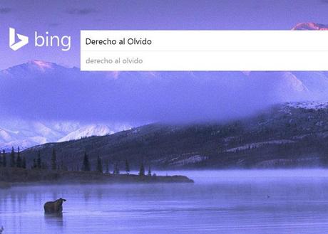 Bing comienza a procesar los primeros pedidos del Derecho al Olvido en Europa