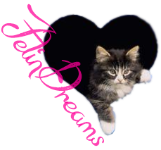 Hamilton Keaven by Annabel Navarro (Reseña) Hamilton Keaven by Annabel Navarro (Reseña)