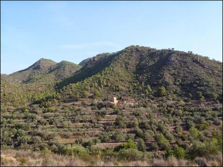 Olocau-Castell del Real-Despoblado de l´Olla-Olocau Olocau-Castell del Real-Despoblado de l´Olla-Olocau
