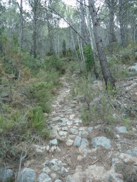 El Tormo - Gavites - Casa Tadeo - Santa Rosa(Ermita) - La Noguereta - Pozo Negro - El Tormo