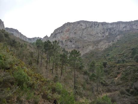 De Caudiel a Cirat III Edición, variante canteras Gullirno - Alto Covarada De Caudiel a Cirat III Edición, variante canteras Gullirno - Alto Covarada