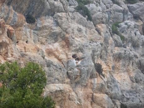 De Caudiel a Cirat III Edición, variante canteras Gullirno - Alto Covarada De Caudiel a Cirat III Edición, variante canteras Gullirno - Alto Covarada