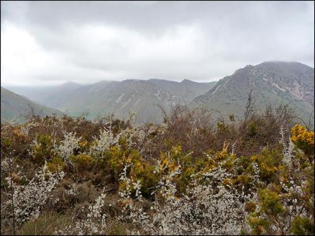De Caudiel a Cirat III Edición, variante canteras Gullirno - Alto Covarada De Caudiel a Cirat III Edición, variante canteras Gullirno - Alto Covarada