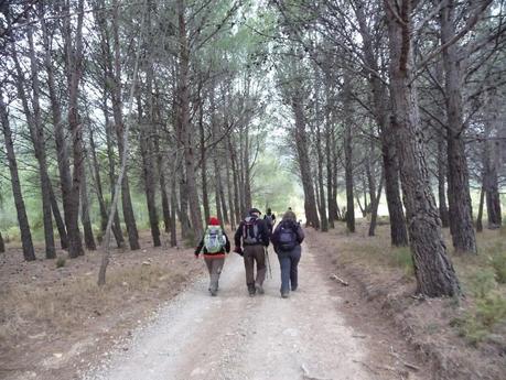 De Caudiel a Cirat III Edición, variante canteras Gullirno - Alto Covarada De Caudiel a Cirat III Edición, variante canteras Gullirno - Alto Covarada
