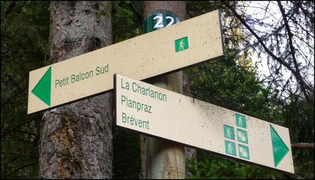 Chamonix: Petit Balcon Sud