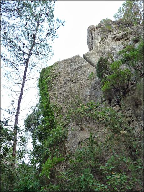 Un Paseo por La Crevá (Quebrada) de Cirat Un Paseo por La Crevá (Quebrada) de Cirat