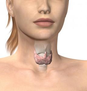 Problemas de la tiroides