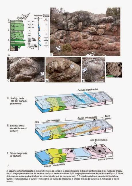 Votaciones a las 3 mejores contribuciones al X Carnaval de Geología Un tsunami hace 128 millones de años fosilizó cientos de pisadas de dinosaurios