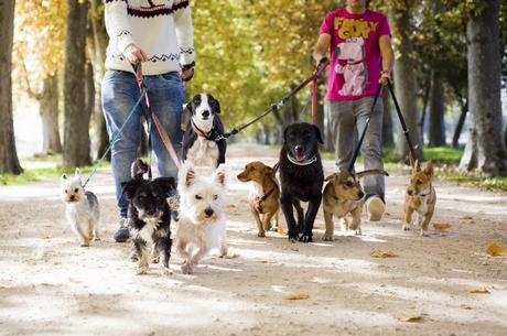 Calendario Más Vida 2015: por su felicidad