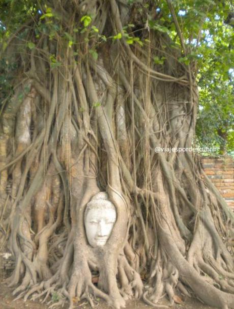 TAILANDIA: aventura, playas y templos (itinerario de 10 días) TAILANDIA: aventura, playas y templos (itinerario de 10 días)