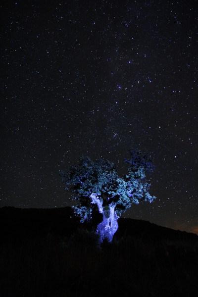 UNA MIRADA A LAS ESTRELLAS El universo desde Boñar. Foto: Sara Gordón
