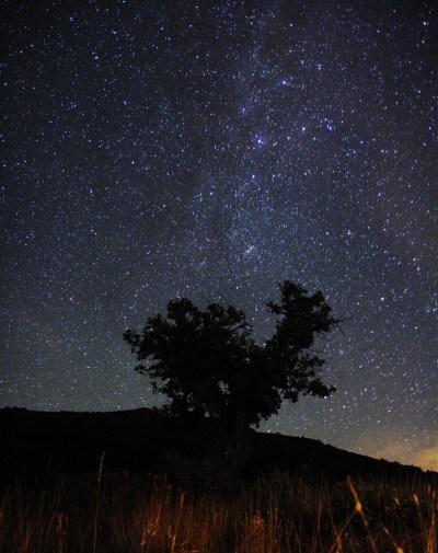 UNA MIRADA A LAS ESTRELLAS IMG_0854