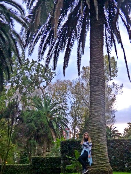 Fall afternoon / LOOK Fall afternoon / LOOK