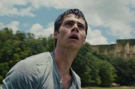 La cara que no para de poner Thomas el corredor del laberinto, maze runner, libro vs pelicula, libro, pelicula, james dashner, thomas, minho, reseña, alby, newt, gally, teresa, destello, CRUEL,