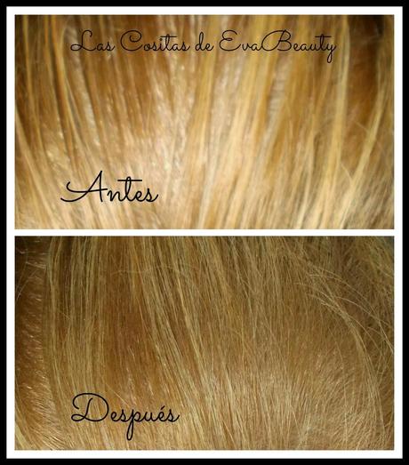 Champú en seco a la leche de Avena de Klorane para todo tipo de cabellos. Champú en seco a la leche de Avena de Klorane para todo tipo de cabellos.