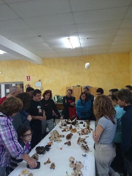 CONDEMIOS DE ARRIBA. JORNADAS MICOLOGICAS CONDEMIOS DE ARRIBA. JORNADAS MICOLOGICAS