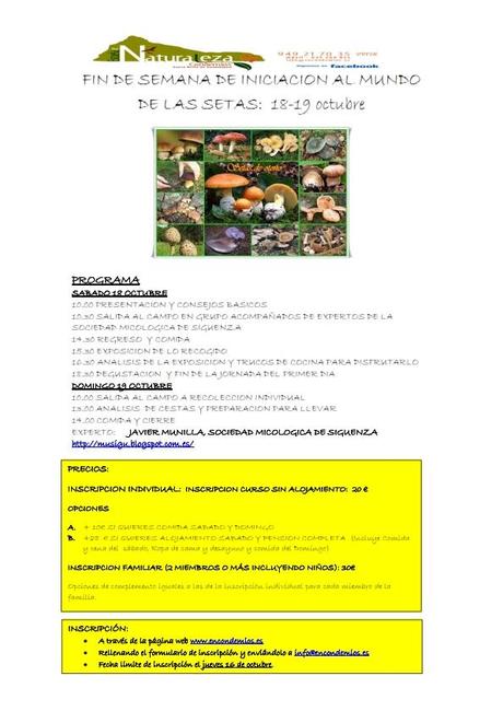 LAS PRIMERAS EN CONDEMIOS LAS PRIMERAS EN CONDEMIOS