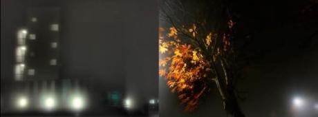 1a Exposición Nómada de Arte Jerez No Lugar Jerez Nómadas Photosatriani