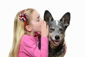 Tu perro diferencia los distintos componentes del habla humana