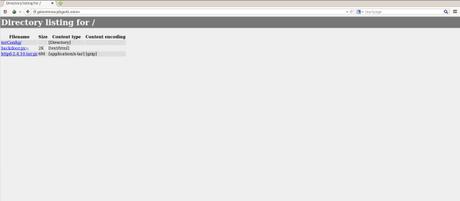 Creando sitios ocultos en TOR de forma programática con TxTorCon txtorcon2