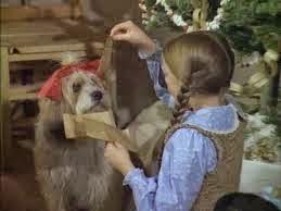 QUIERO SER PERRO QUIERO SER PERRO