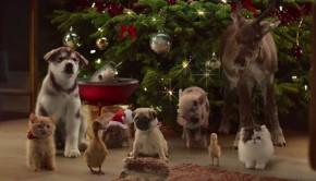 mcvities-christmas