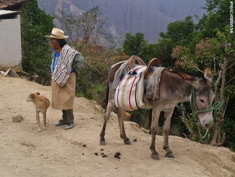 Rincones con encanto: Tacoranga, recursos rurales sin explotar. Rincones con encanto: Tacoranga, recursos rurales sin explotar.