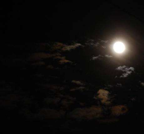 LUNA LLENA…ÚLTIMA DEL AÑO! Luna llena...última del año!