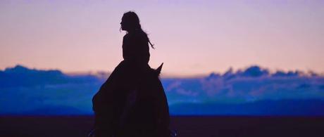 The Homesman - 2014 The Homesman - 2014