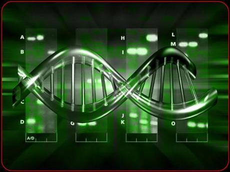 Duplicación del DNA